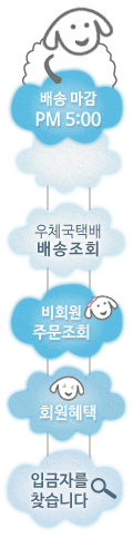 구름배너
